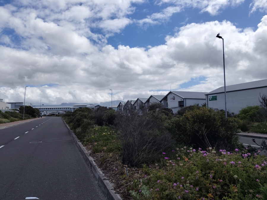 To Let commercial Property for Rent in Muizenberg Western Cape
